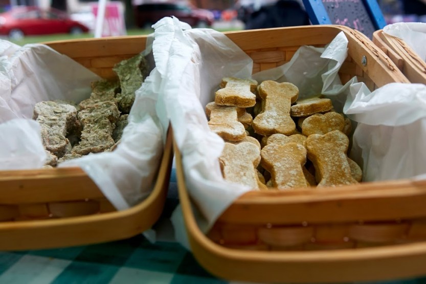 Copy of PittVegFest16_050_SPLICE